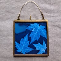 Image 1 of Maple Framed Mini