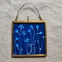 Image 1 of Bluet Framed Mini
