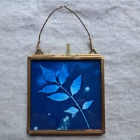 Image 1 of Green Ash Framed Mini