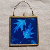 Image 1 of Red Oak Framed Mini