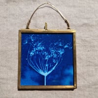 Image 1 of Dill Framed Mini
