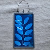 Image 1 of Locust Framed Mini