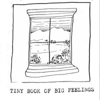 Image 1 of tiny book of big feelings