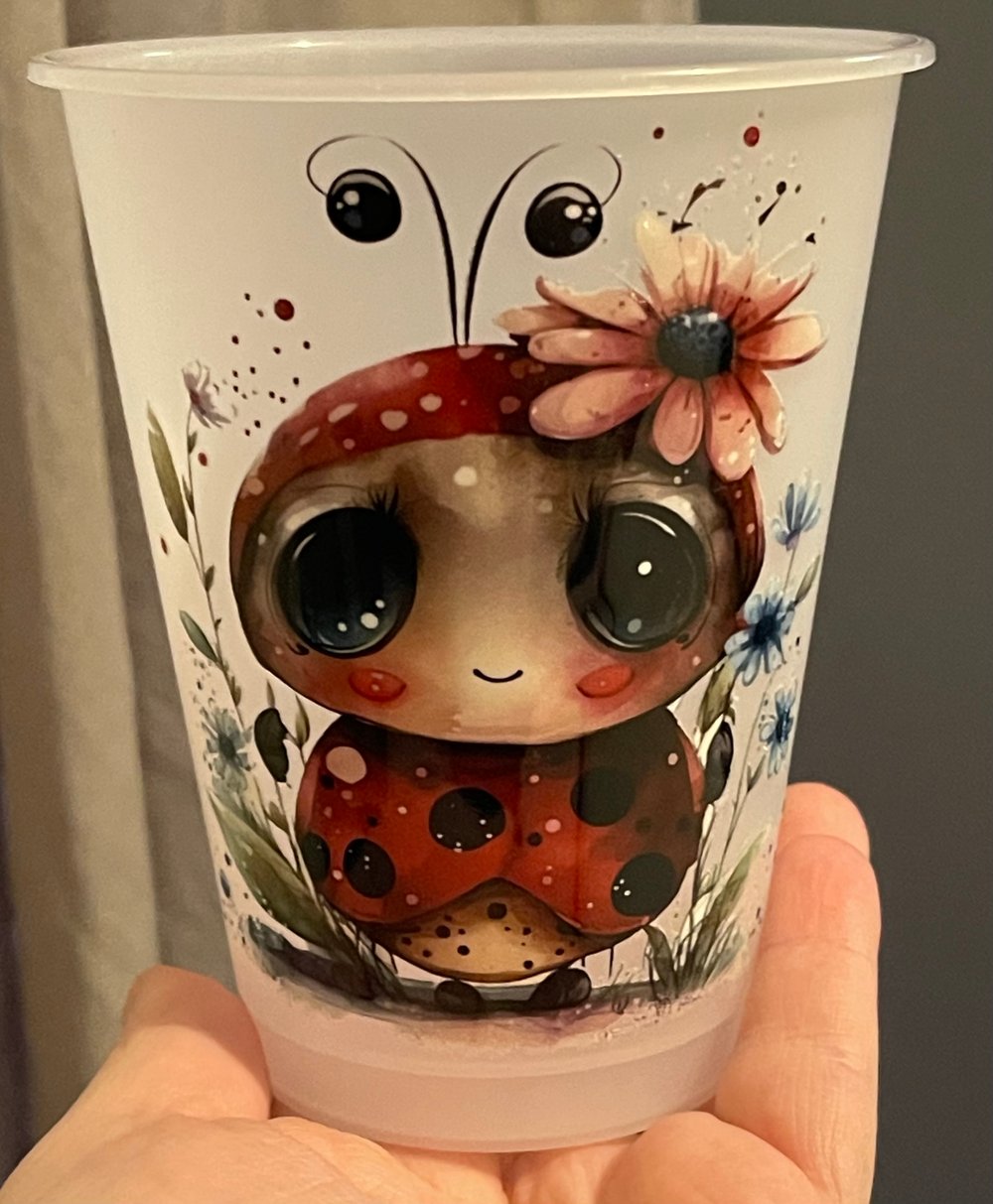 Image of Ladybug kid size 