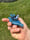 Image of Blue jay bird bath kazoo 