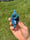 Image of Blue jay bird bath kazoo 