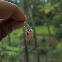 Image 10 of Sterling Silver Bee & Shell Pikake Flower Earrings - Perfect Gift for Garden Lovers