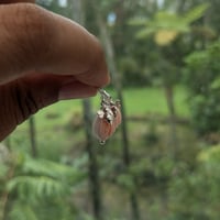 Image 11 of Sterling Silver Bee & Shell Pikake Flower Earrings - Perfect Gift for Garden Lovers