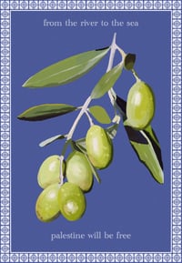 a6 olive tree postcard 