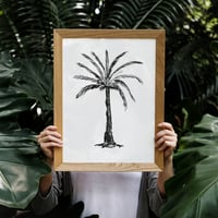 Image 3 of Palms no.2 - Art Print