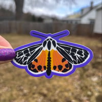 Image 2 of Moth (Purple Background) Sticker