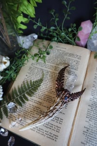 Image 3 of Midsummer Dreams Antler Talisman 