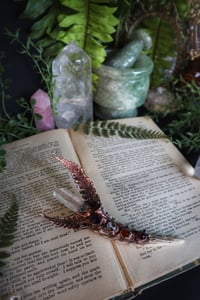 Image 4 of Midsummer Dreams Antler Talisman