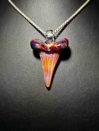 Image 3 of Shark tooth pendant made with caramal and red exotic. 