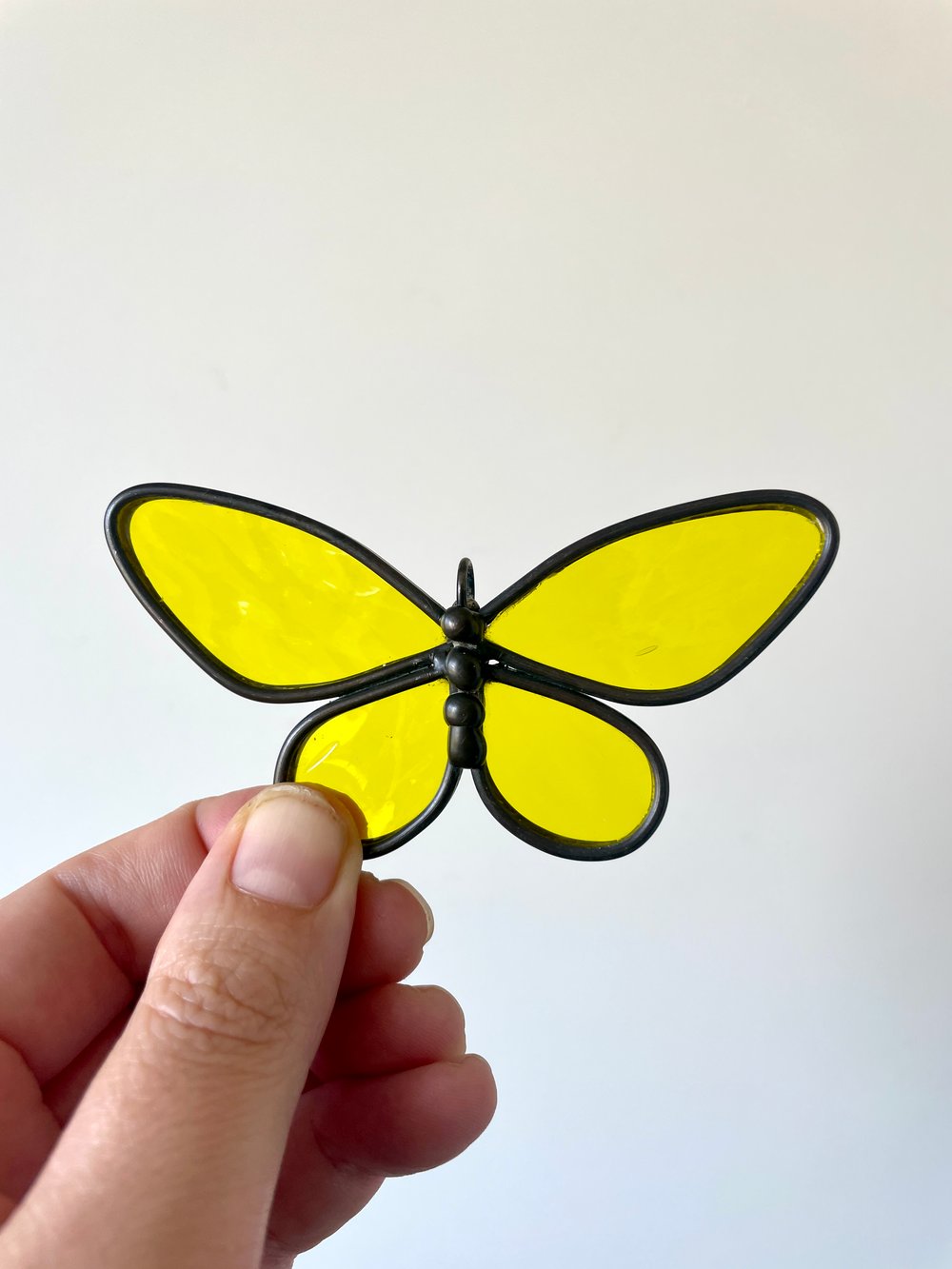 Image of Butterfly