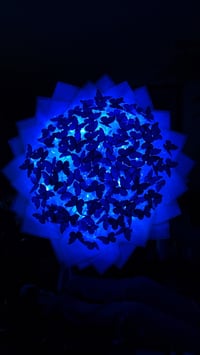 Image 2 of Light Up Butterfly Bouquet 