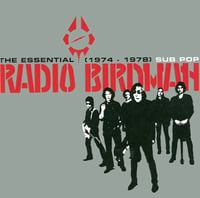 RADIO BIRDMAN - The Essential Radio Birdman (1974-1978) 2xLP