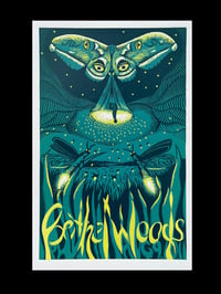 Image 1 of PHISH Bethel Woods Poster