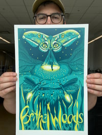 Image 5 of PHISH Bethel Woods Poster