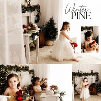 Image 3 of SATURDAY 19TH OCTOBER  - CHRISTMAS MINI SESSIONS