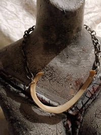 Image 1 of REAL HUMAN BONE FULL RIB ADJUSTABLE CHOKER NECKLACE #1