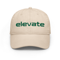 Image 1 of Elevate Champion Dad Hat