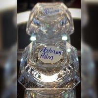 Image 2 of Platinum Palm