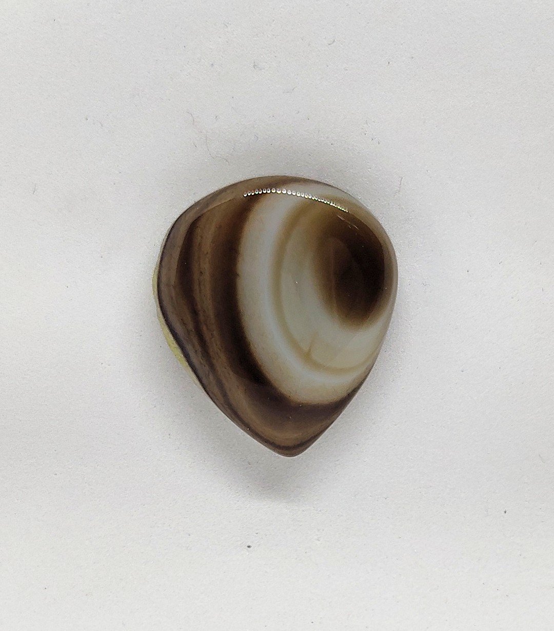 Image of Black Banded Agate Magnetic Pin #24-764