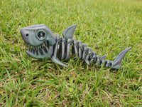 Image 1 of Skeleton Shark