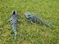 Image 2 of Skeleton Shark
