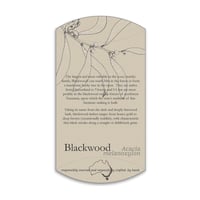 Image 5 of Blackwood Oblong Hair Clip