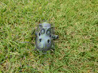 Image 2 of Hippo