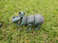 Image 3 of Hippo