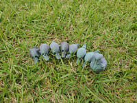 Image 2 of Caterpillar