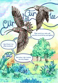 Image 4 of The Great Whaup: A zine for the love of curlews