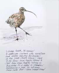 Image 3 of The Great Whaup: A zine for the love of curlews