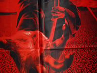 Image 5 of CHILDREN OF BODOM - Something wild Flag (cloth poster Banner tapestry) Heavy metal