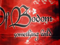 Image 7 of CHILDREN OF BODOM - Something wild Flag (cloth poster Banner tapestry) Heavy metal