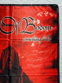 Image 8 of CHILDREN OF BODOM - Something wild Flag (cloth poster Banner tapestry) Heavy metal