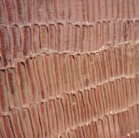 Image 1 of Shattered Earth