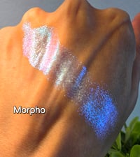 Image 4 of Morpho Iridescent Multichrome 