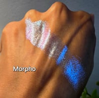 Image 5 of Morpho Iridescent Multichrome 