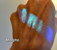 Image 6 of Morpho Iridescent Multichrome 