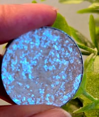 Image 7 of Morpho Iridescent Multichrome 