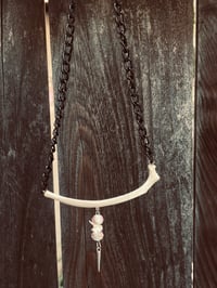 Image 2 of Coyote Rib Necklace