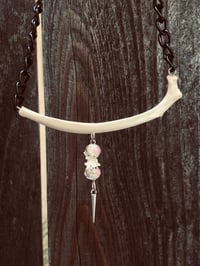 Image 4 of Coyote Rib Necklace
