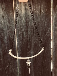 Image 1 of Coyote Rib Necklace