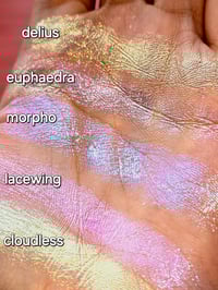 Image 2 of WINGED COLLECTION BUNDLE