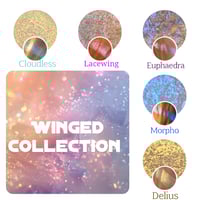 Image 1 of WINGED COLLECTION BUNDLE