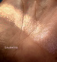 Image 10 of LACEWING IRIDESCENT MULTICHROME 